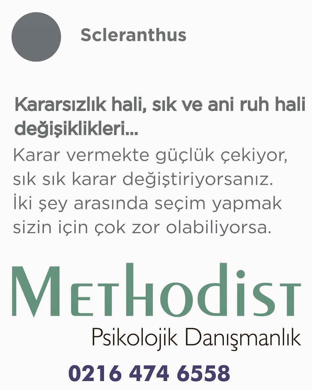 Scleranthus Bitkisi Methodist Psikoloji Danışmanlığı